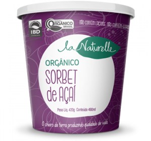 sorvete_acai_lanaturelle4